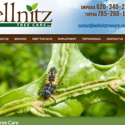 Wellnitz Tree Care Website