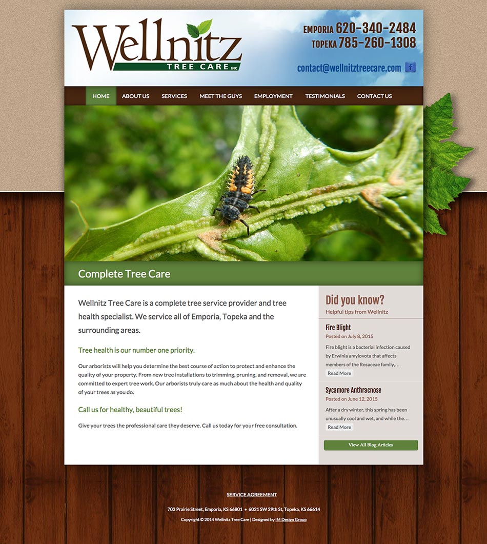 wellnitz-website